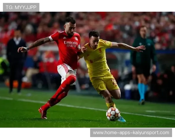 布加勒斯特星队锁定葡超动力源——开启新赛季的无限可能 布加勒斯特星队锁定葡超动力源——开启新赛季的无限可能