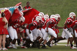 开云·体育官方网站入口-青年教练员资格认证考试报名已正式启动，青少年教练技术课程安排